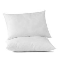 Wholesale Large Sized Pillows