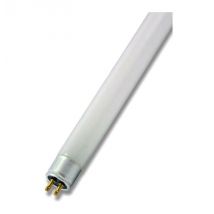 Crompton Lamps Fluorescent 549mm T5 Tube 24W HO High Output Cool White
