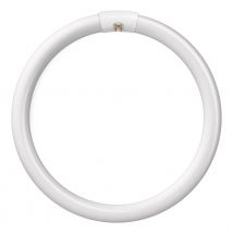 Crompton Lamps Fluorescent T9 Circular 32W 4-Pin Warm White FC32W/830