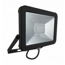 Phoebe LED Floodlight 30W Atlas Cool White 110° Black IP66