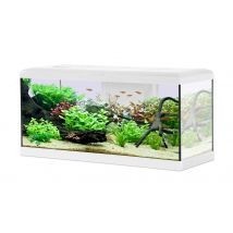 Aquarium Poisson Tana Led 80cm Blanc - Zolux