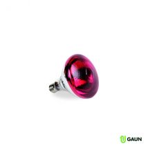Ampoule Infrarouge Par De 100w - Pour Reptile - Gaun