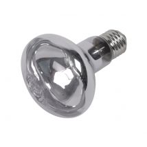 Lampe Spot Néodyme 75w - Pour Reptile - Aquatlantis