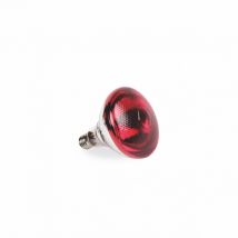 Ampoule Infrarouge Par De 175w - Gaun