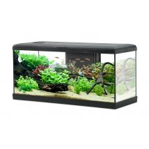 Aquarium Poisson Tana Led 80cm Noir - Zolux