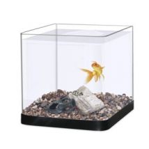 Aquarium poisson combattant bombé 8L noir - Capac - Capac