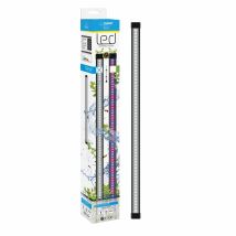Rampe Led Cla60 Avec Convertisseur Pour Aquarium 60 Et 80 Led - Ciano