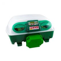CoUVeuse Automatique Digitale Poule Et 24 - River Systems