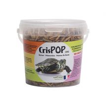 Aliment Complet Pour Tortues D'eau Et Poissons De Bassin Insectes Soufflés Crispop 150g - Appi - Pour Reptile - Bestico