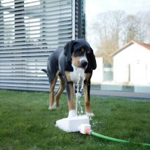 Fontaine À Eau Chien Bubble - Kerbl