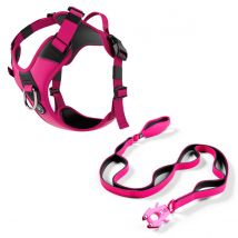 Laisse Ladder Combat Et Harnais Hurricane Rose Carmin Taille M - Bullybillows - Pour Chien - BullyBillows