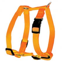 Harnais Nylon Réglable 20mm - Orange - Pour Chien - Zolux
