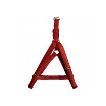 Harnais Réglable Mac Leather 20mm - Rouge - Pour Chien - Mac Leather