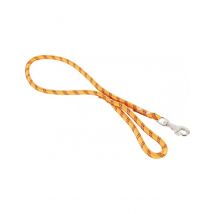 Laisse Nylon Corde 13mm/6m - Orange - Pour Chien - Zolux