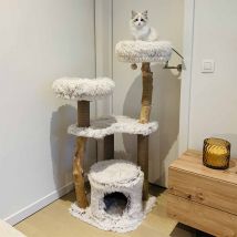 Arbre À Chat Oslo Long Hair Pluche Beige 122cm - Ebi - Laroy Group