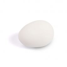 Oeuf Factice Blanc Grande Taille Pour Oiseaux - 2GR