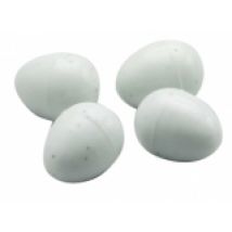 Oeufs Factices Blancs X10 Pour Oiseaux - 2GR
