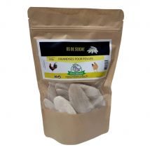 Os De Seiche Poule 200g - Octave Bauchant - Octave Bauchant