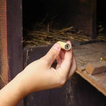 Détecteur De Poux Rouges Pour Poule Et Oiseaux Par 5 - Bestico - Bestico