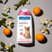 Shampoing Pour Chien Pelage FaUVe 250ml - Francodex