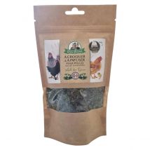 Ail Des Ours Pour Poule à Croquer Ou à Infuser 50g - Octave Bauchant - Octave Bauchant - pour Poulailler