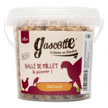 Balle De Millet Pour Poule Gascotte 140g - Gasco - Gasco - pour Poulailler