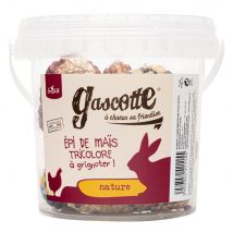 Epi De Maïs Tricolore Pour Poule Gascotte 240g - Gasco - Gasco - pour Poulailler