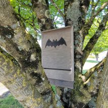 Nichoir Chauve-souris Bois Fsc Grande Taille - Animal Valley - pour Poulailler