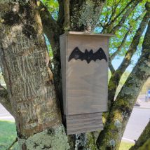 Nichoir Chauve-souris Bois Fsc Petite Taille - Animal Valley - pour Poulailler
