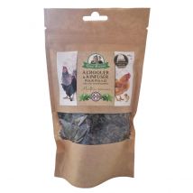 Menthe Poivrée Pour Poule à Croquer Ou à Infuser 20g - Octave Bauchant - Octave Bauchant - pour Poulailler