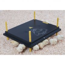 Panneau Chauffant Poussin 40x50cm 50w - Olba - pour Poulailler