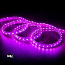Fita LED WiFi 220V AC 60 LED/m Violeta IP65 à Medida Largura 14mm Corte a cada 100 cm Várias opções