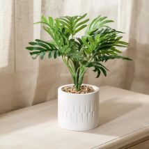 Plante artificielle (H28 cm) Plante grasse en pot