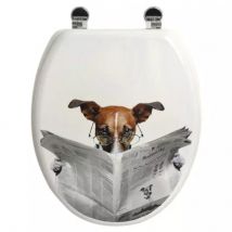 Copriwater Alli Grigio