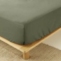 Hoeslaken percal katoen (140 x 190 cm) Cali Rozemarijngroen