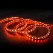 LED-Streifen Dimmbar 220V AC 60 LED/m Orange IP65 nach Mass Breite 14mm Schnitt alle 100cm Mehrere Optionen