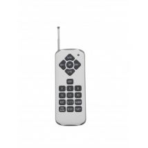 Télécommande RF pour Spots de Piscine RGB Batterie