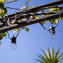 Guirlande Solaire Extérieure d'Ampoule LED Kepler 7m Transparent