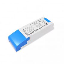 Driver AID Dimmable 1-10V 220-240V Sortie 21-42V DC 500mA 21W No Flicker PE18AA42 21 W