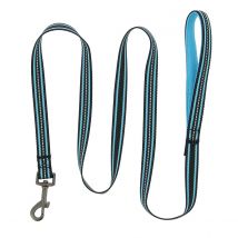 Laisse pour chien Dynacool 140cm - Fidelami - Fidelami