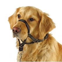 Collier D'éducation Pour Chien Maxi Coach Noir 38cm - Kerbl