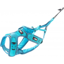 Harnais Phoenix Gamme Alm Bleu Taille L Pour Chien- I-dog