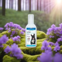 Lotion Anti Démangeaisons Pour Chien 120ml - Francodex