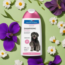 Shampoing Chien Démêlant 250ml - Francodex