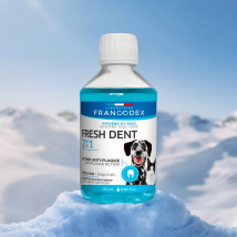 Soin Dentaire Fresh Dent 2 En 1 Pour Chien Et Chat 250ml - Francodex