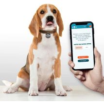 Médaille Digitalisée pour chien avec scan QR code – Spoors - Spoors