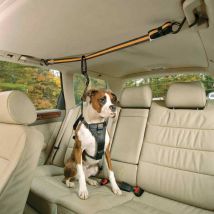 Sangle pour chien Tyrolienne de Sécurité 'Zip Line' – Kurgo - Euroteck