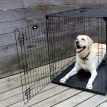 Caisse De Transport Chien À Portes Coulissantes Latérales Xl 122 X 76 X 84 Cm - Lucky Dog