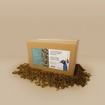 Larves De Mouche Soldat Soufflées Pour Oiseaux De Basse-cour Nutriworms 1,5kg - Appi - Bestico