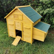 Poulailler Bassette XL Toit Shingle Vert 6 à 8 Poules - Animal Valley